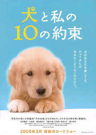 10 Promises to My Dog 10 ข้อสัญญาน้องหมาของฉัน