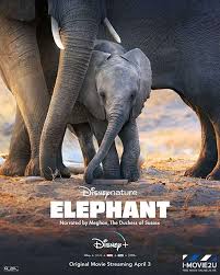 Elephant อัศจรรย์ชีวิตของช้าง (2020) บรรยายไทย